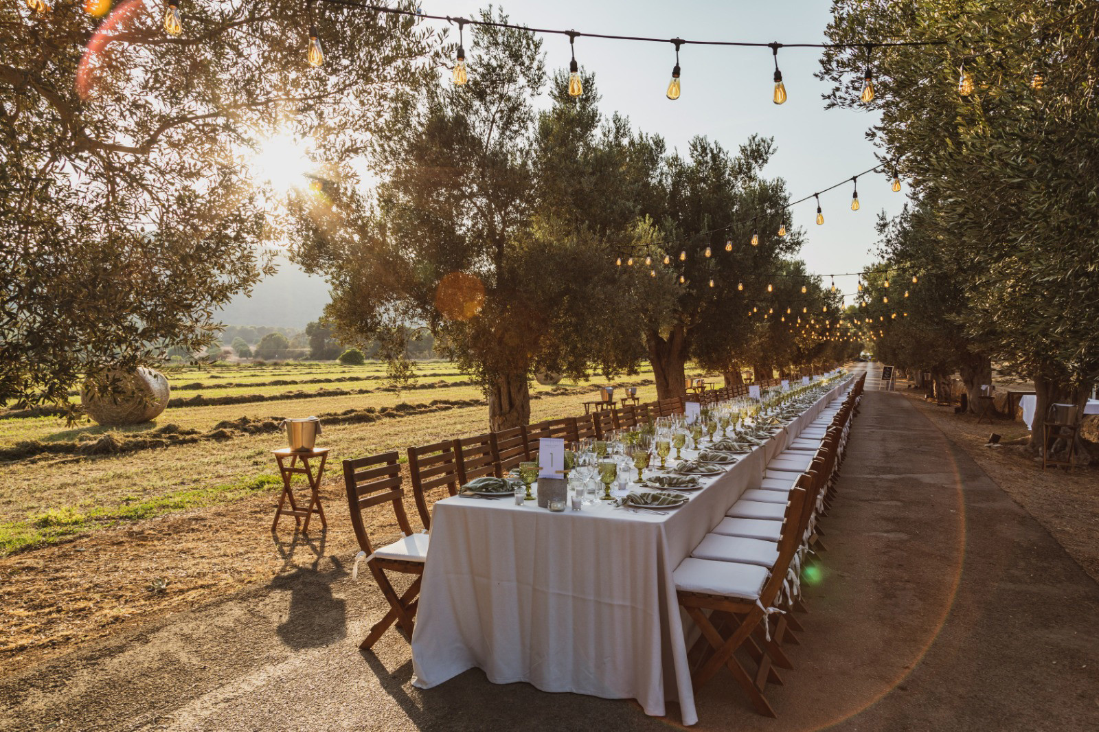 Hanging festoon lights with led filament Edison bulbs